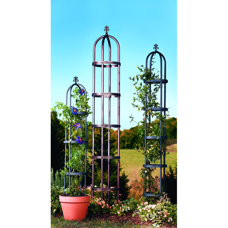 Plow & Hearth Steel Obelisk Trellis & Reviews Wayfair